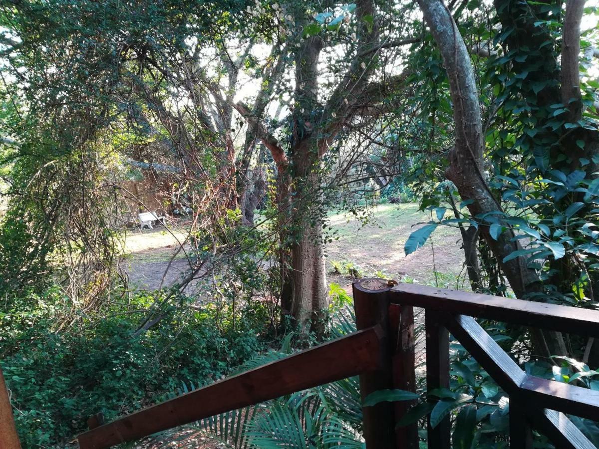 Beach Wood Cottages Shelly Beach Exterior foto